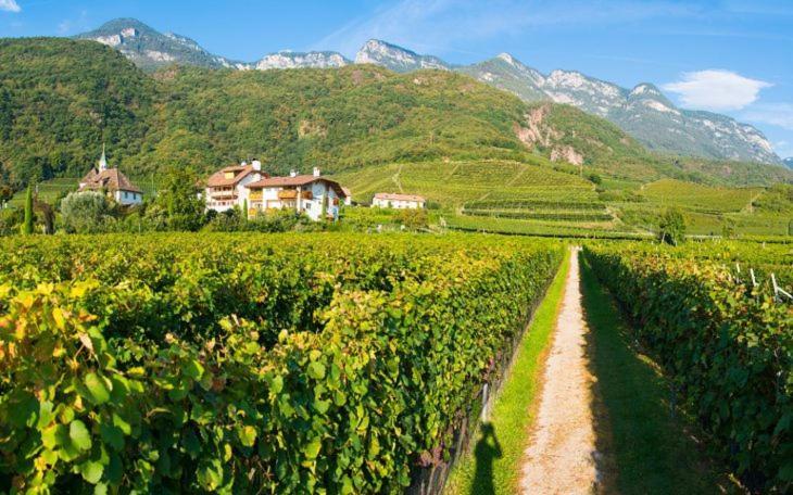Residence Roland Caldaro sulla Strada del Vino Exterior foto